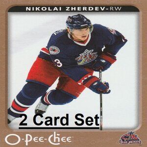 Nikolai Zherdev - Columbus Blue Jackets NHL Hockey Card Collection